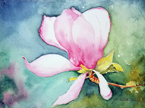 Magnolia Blossom